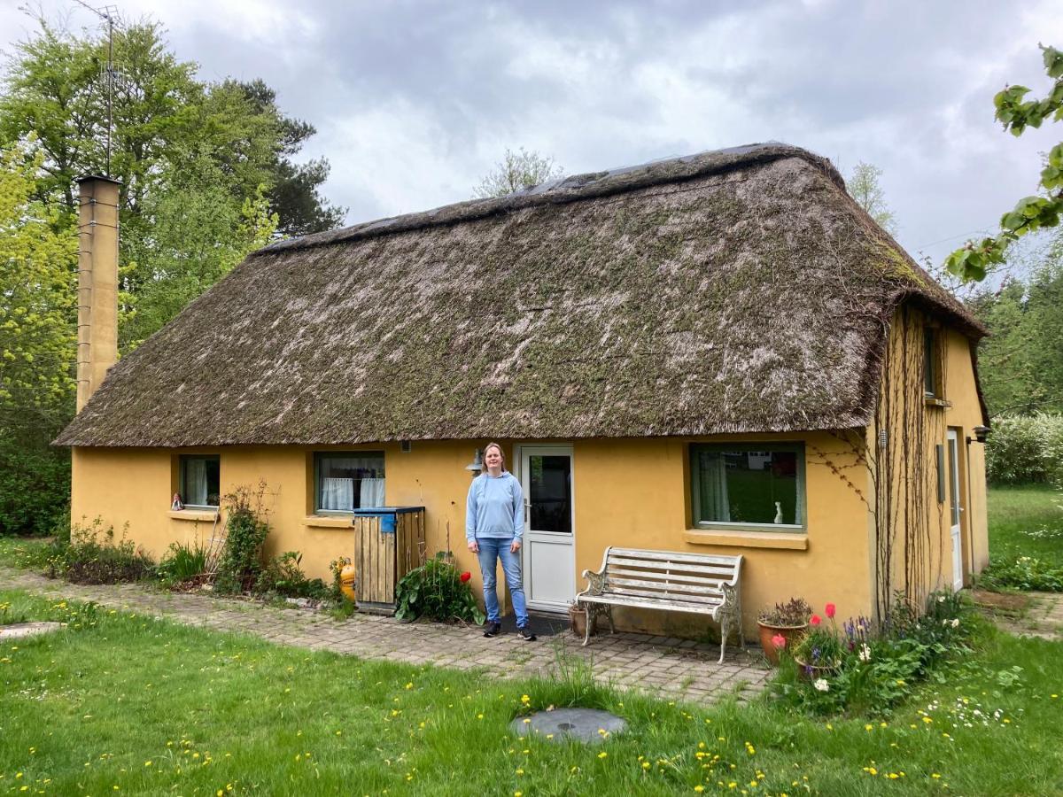 Mor'S Hus Laeso 빌라 외부 사진